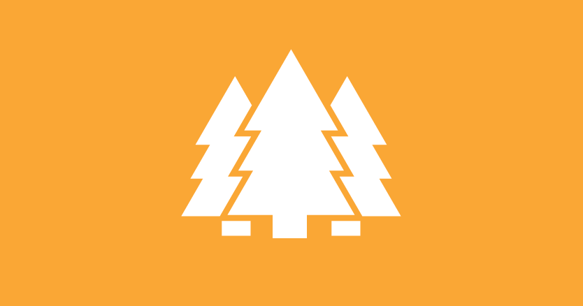 Fall Immersion Experience